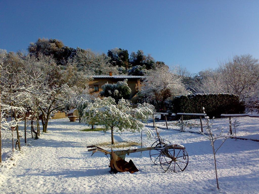 Podere Il Pero Siena Dış mekan fotoğraf