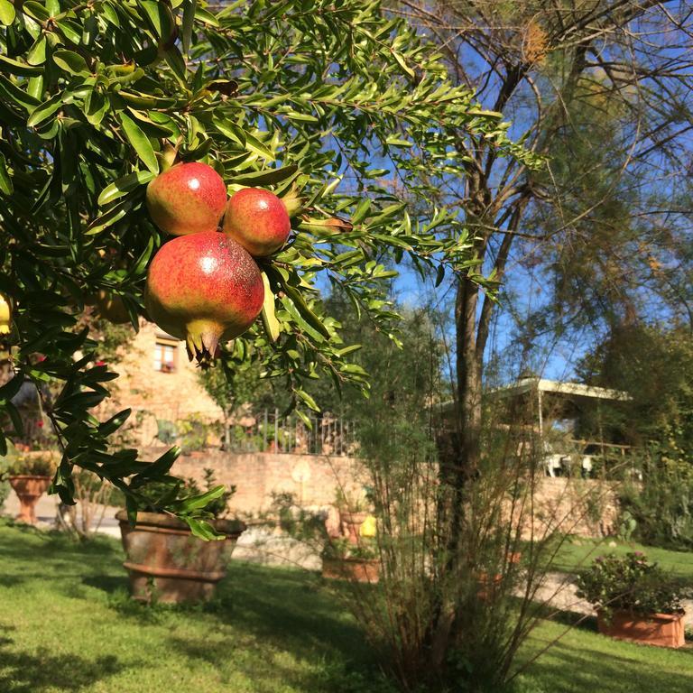 Podere Il Pero Siena Dış mekan fotoğraf